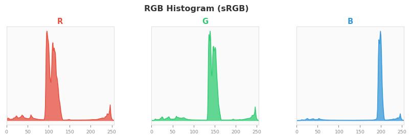 sRGB色图