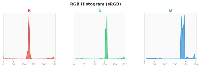 sRGB色图
