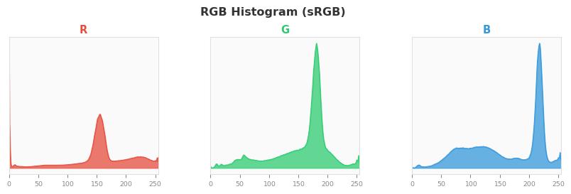 sRGB色图