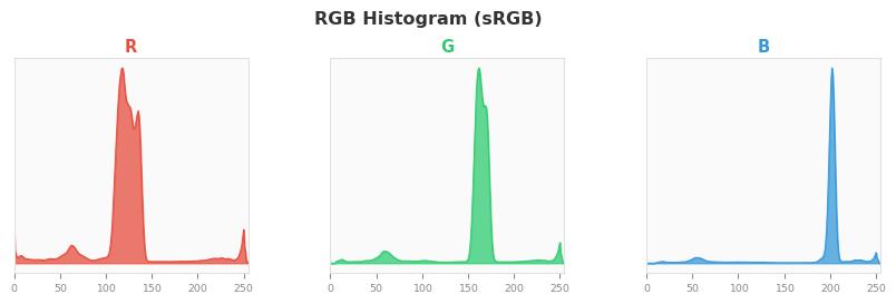 sRGB色图