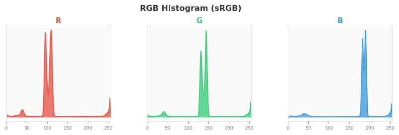 sRGB色图