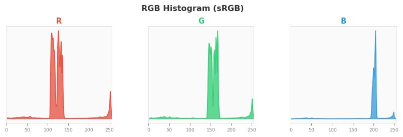 sRGB色图