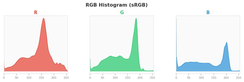sRGB色图