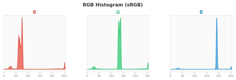 sRGB色图