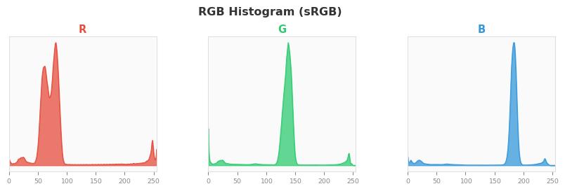 sRGB色图