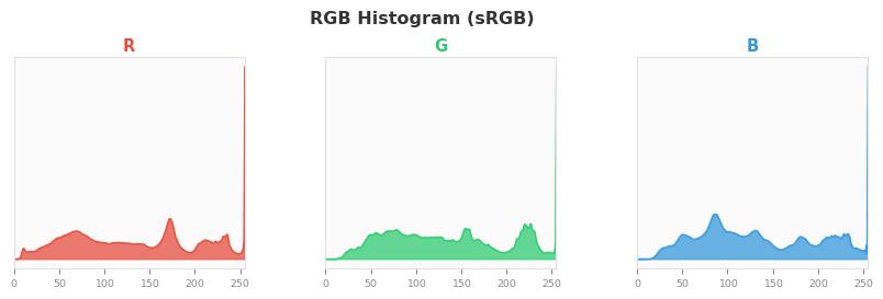 sRGB色图