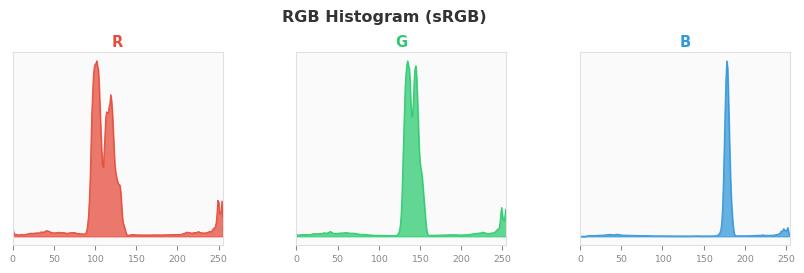 sRGB色图