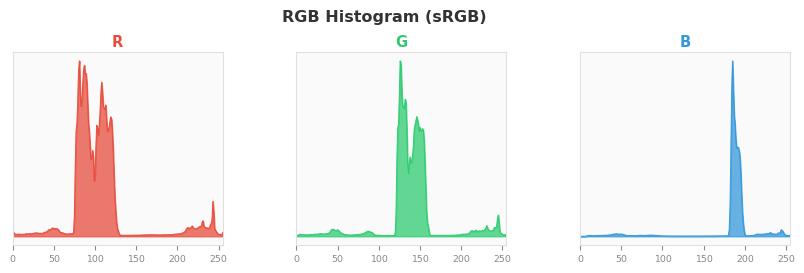 sRGB色图