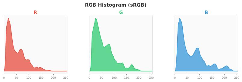 sRGB色图