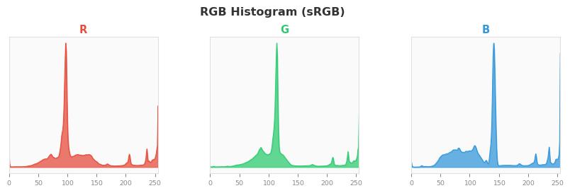 sRGB色图