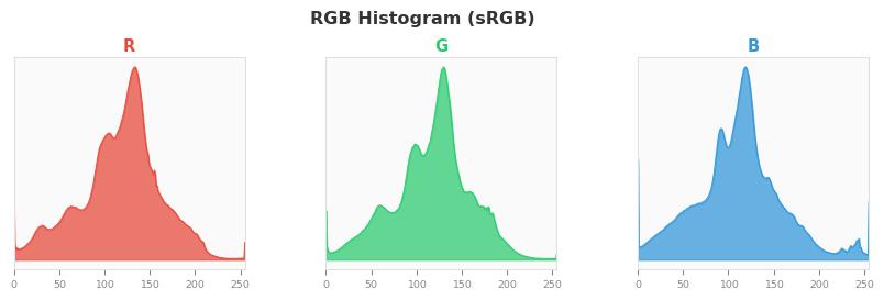 sRGB色图