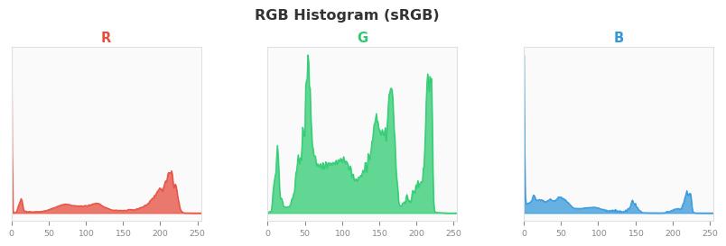 sRGB色图