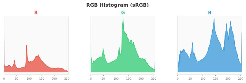 sRGB色图