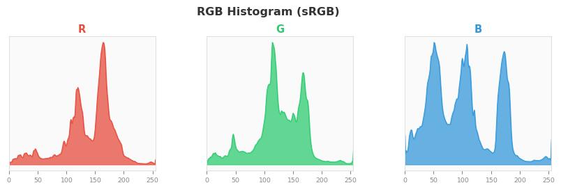sRGB色图