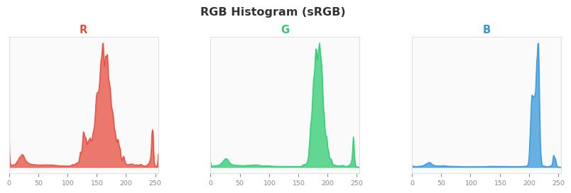 sRGB色图