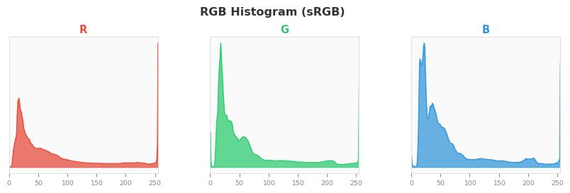 sRGB色图