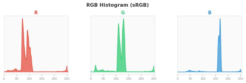 sRGB色图
