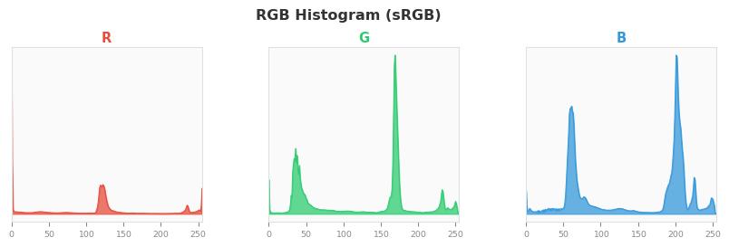 sRGB色图