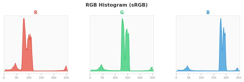 sRGB色图