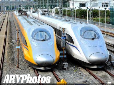 两只老鼠