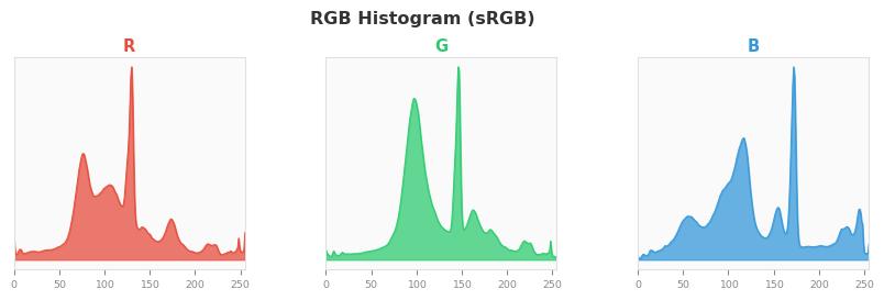 sRGB色图
